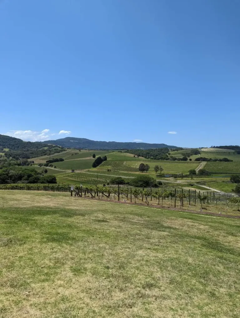 crooked-river-wines-2