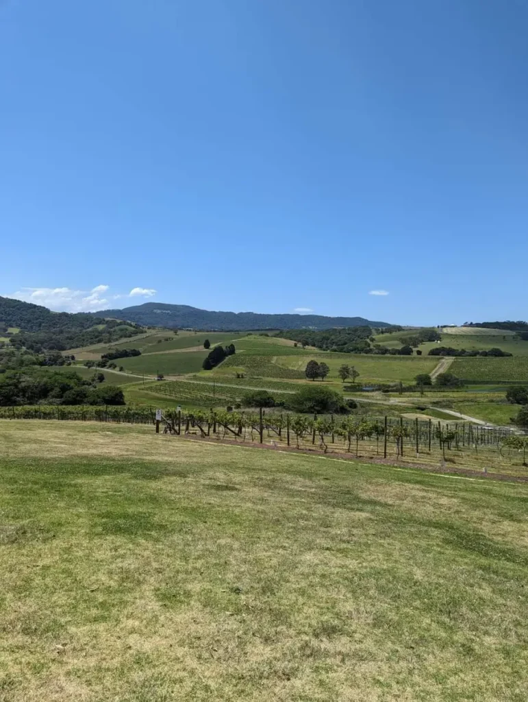 crooked-river-wines-2