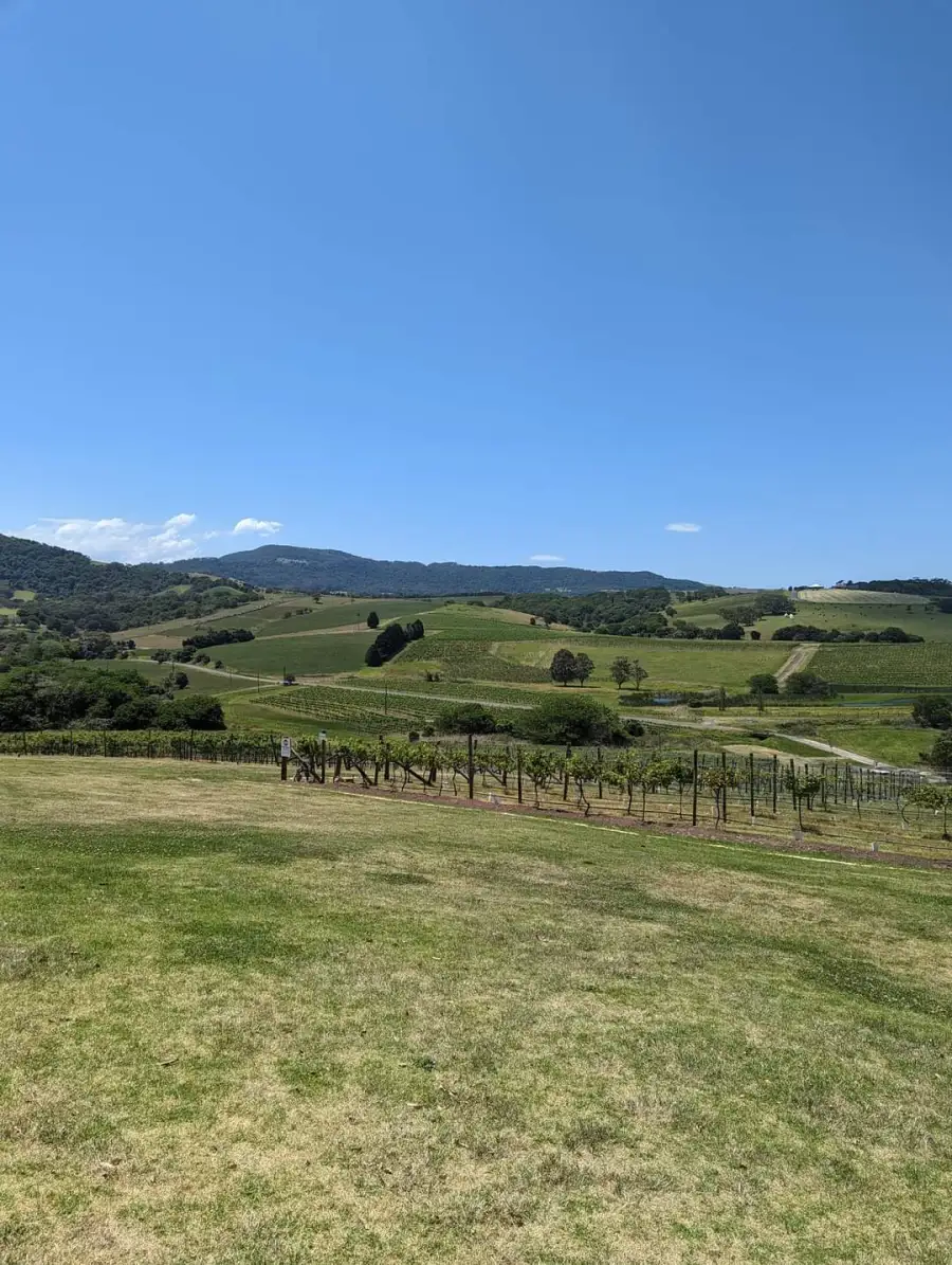 crooked-river-wines-2